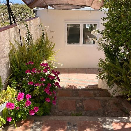 La Penita - Sunny Guesthouse With Private Pool And Garden Salobrena Exterior photo
